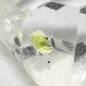 Preview: Besonderheit: Herkimer "Diamant" mit Wassereinschluss und Luftblase, 0.78 Ct