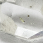 Preview: Besonderheit: Herkimer "Diamant" mit Wassereinschluss und Luftblase, 0.95 Ct