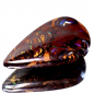 Preview: Koroit Boulder Opal mit 21.56 Ct, beidseitig tragbar