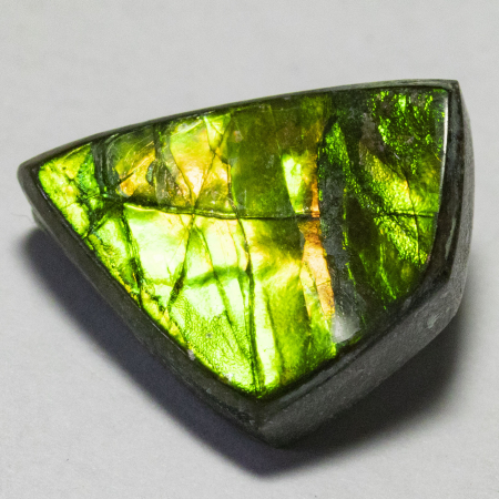 Ammolit mit 5.85 Ct, AAA Grade