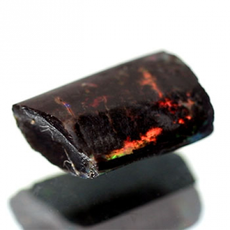 Opalisiertes Holz aus Indonesien mit 2.77 Ct