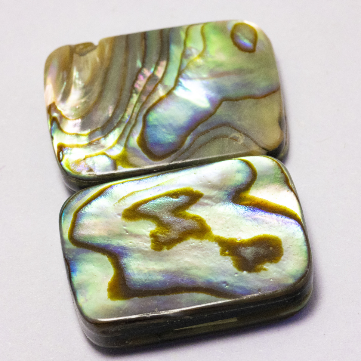 Abalone Dubletten 12.68 Ct, gebohrt