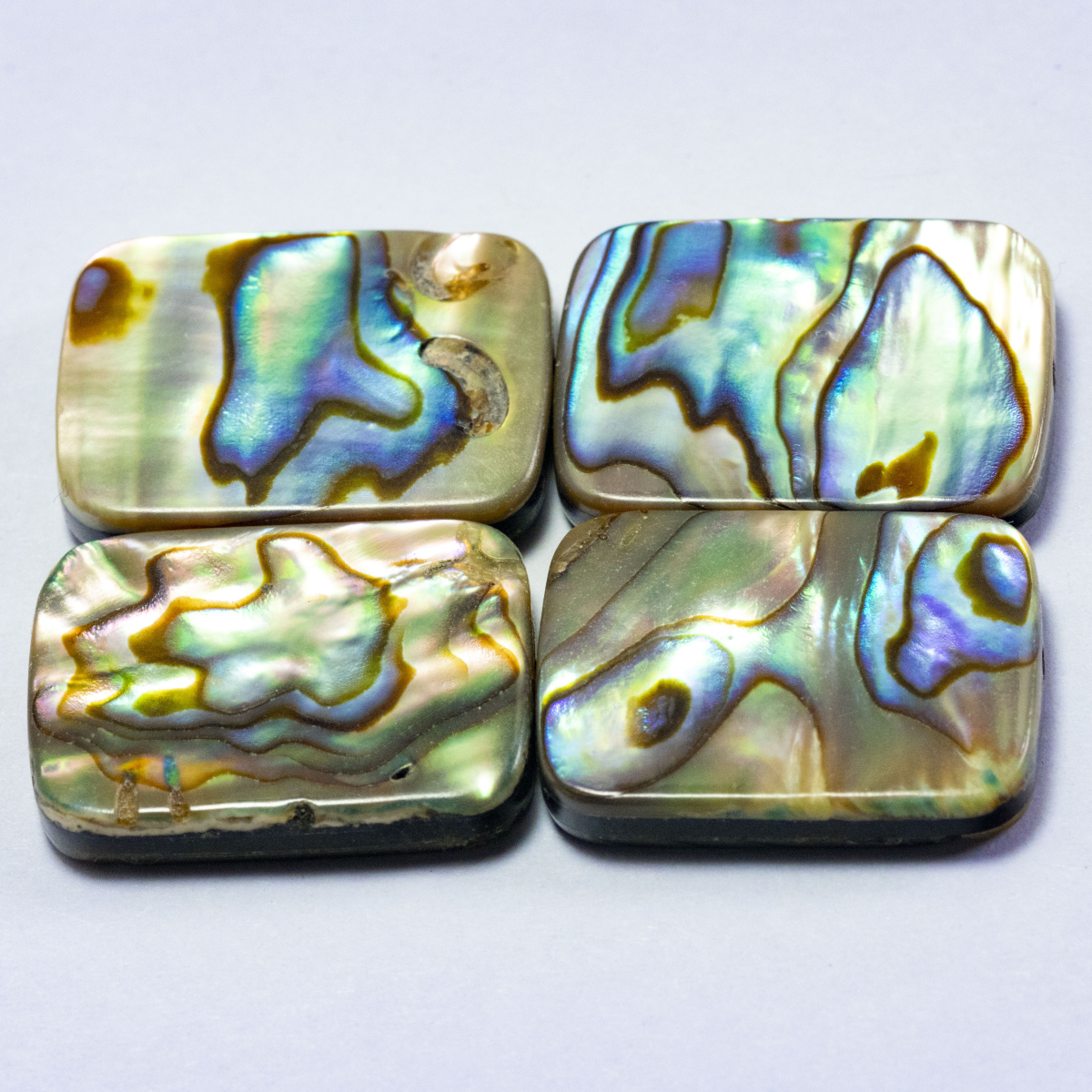Abalone Dubletten 26.51 Ct, gebohrt