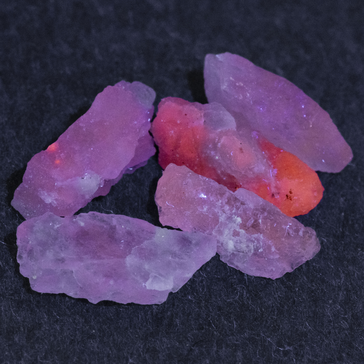 5 Hackmanit Kristalle 4.57 Ct, fluoreszierend
