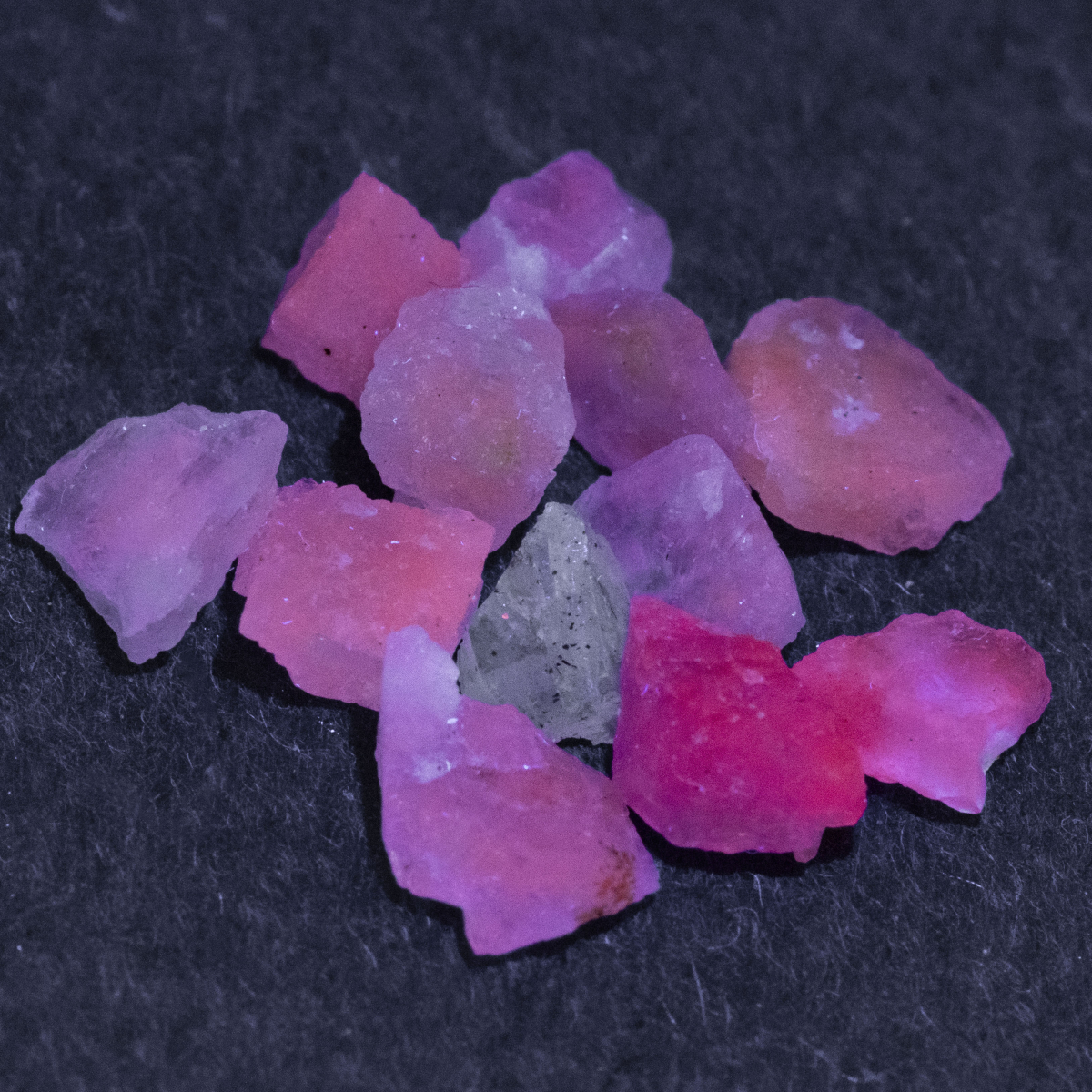 12 Hackmanit Kristalle 4.96 Ct, fluoreszierend