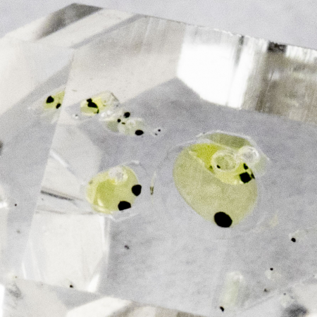 Besonderheit: Herkimer "Diamant" mit Wassereinschluss und Luftblase, 1.57 Ct