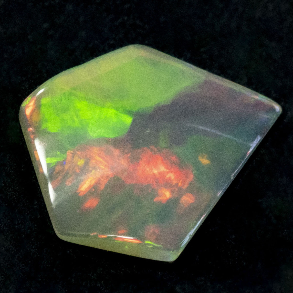 2 Welo Opal Scheiben mit 1.55 Ct, poliert - Opale
