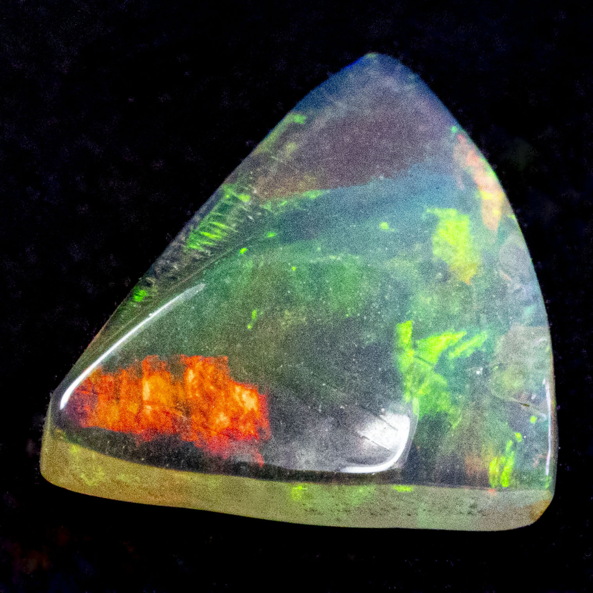 2 Welo Opal Scheiben mit 1.55 Ct, poliert - Opale