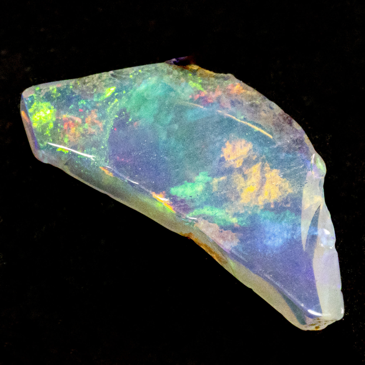 2 Welo Opal Scheiben mit 1.55 Ct, poliert - Opale