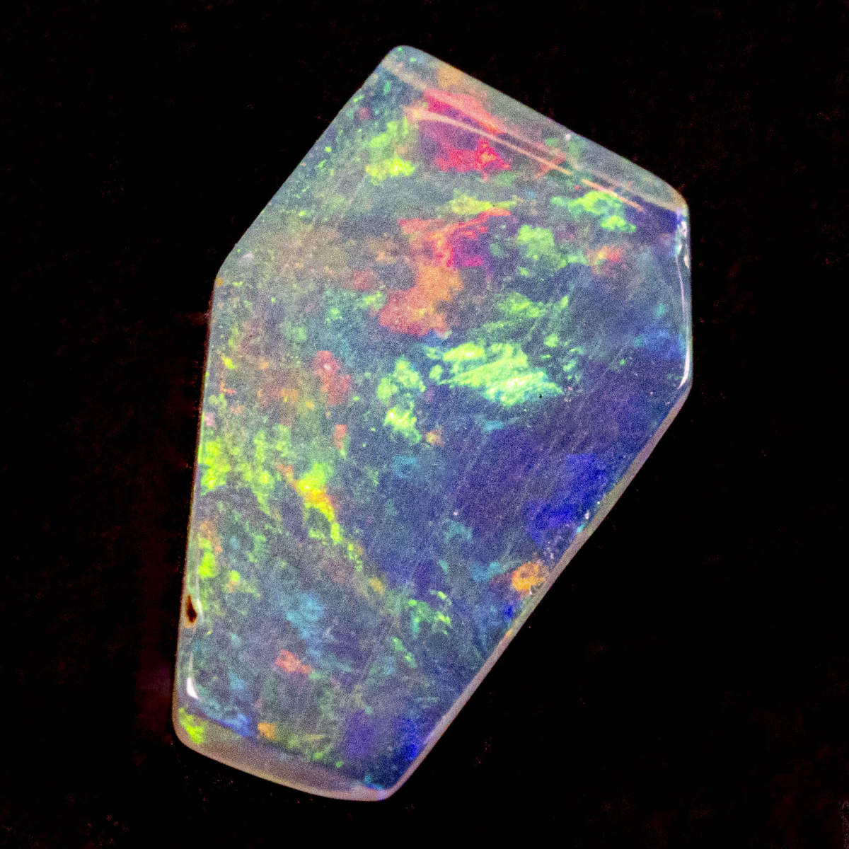 2 Welo Opal Scheiben mit 1.55 Ct, poliert - Opale