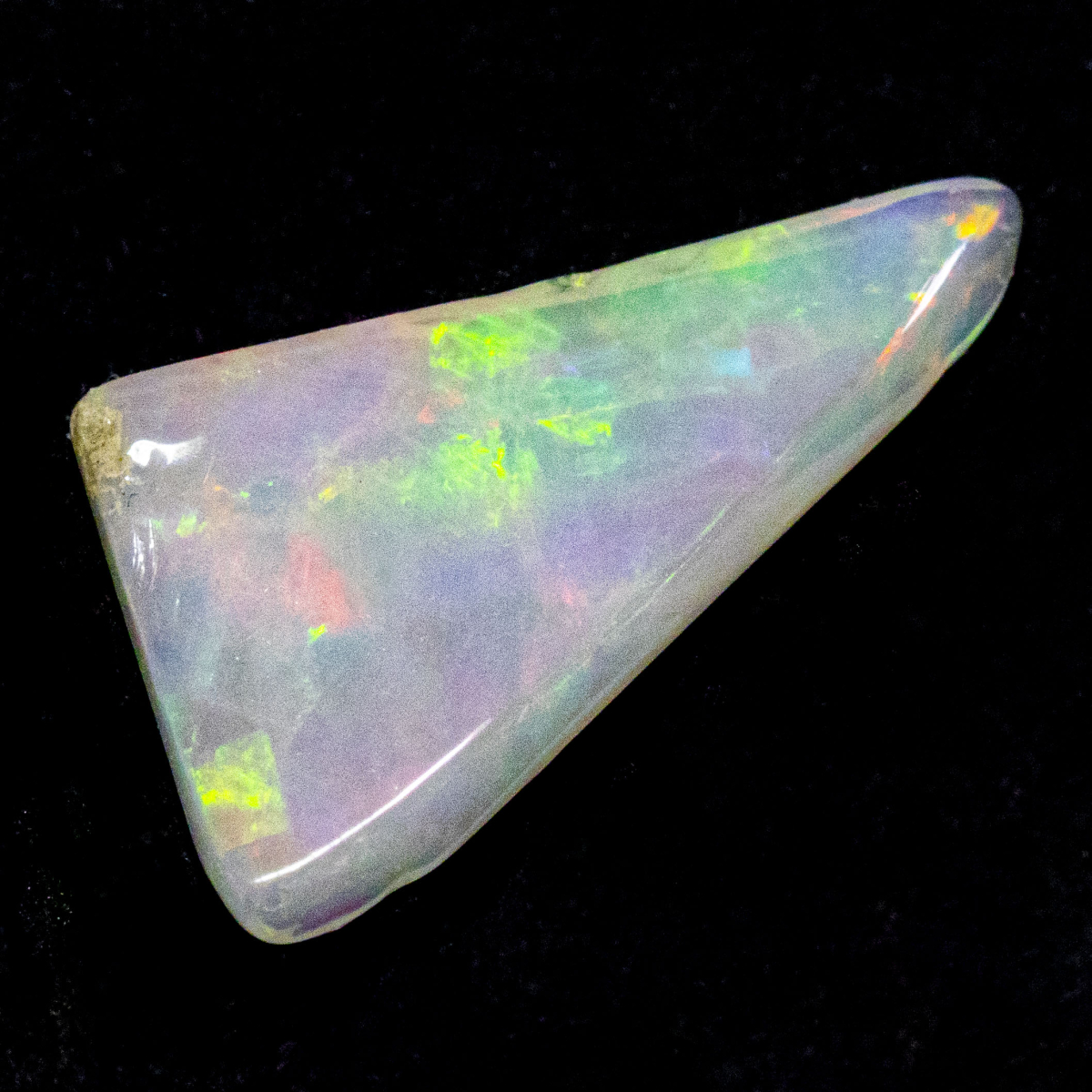2 Welo Opal Scheiben mit 1.55 Ct, poliert - Opale