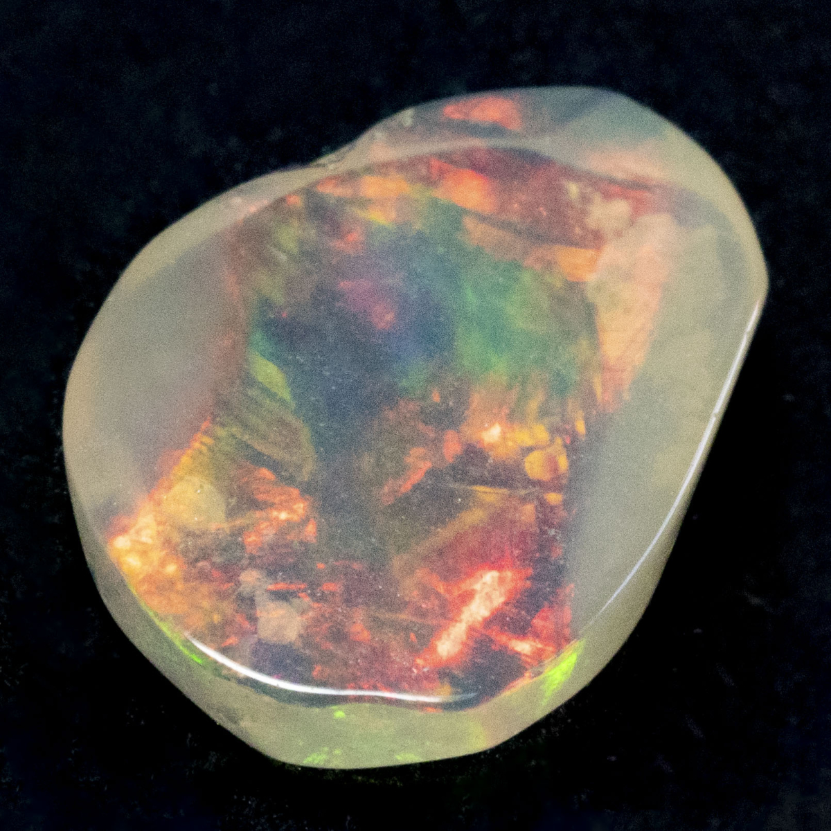 2 Welo Opal Scheiben mit 1.55 Ct, poliert - Opale