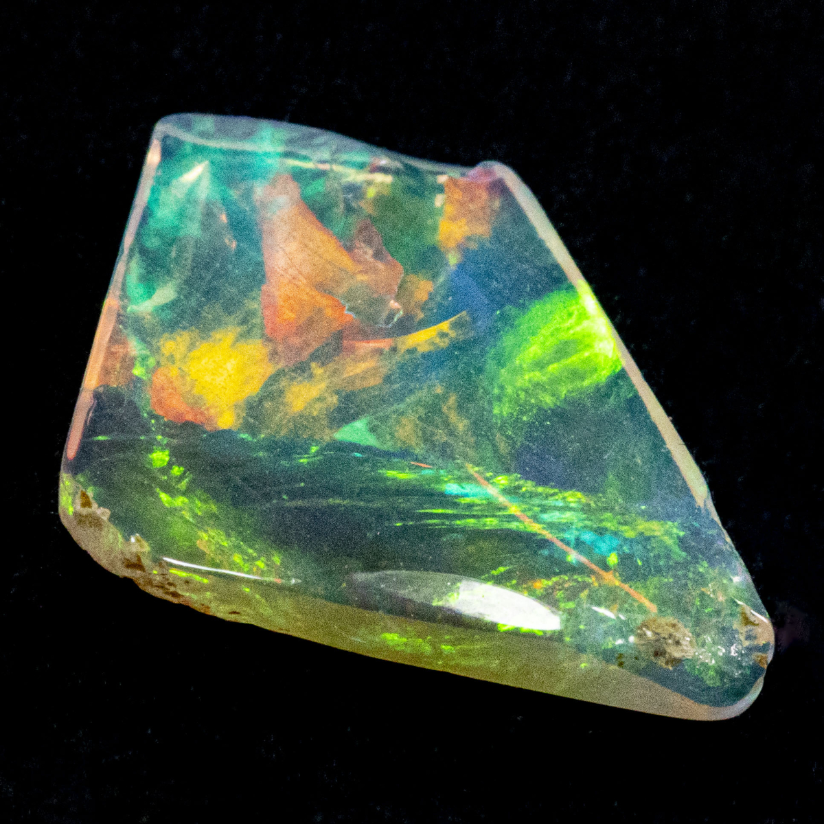 2 Welo Opal Scheiben mit 1.55 Ct, poliert - Opale
