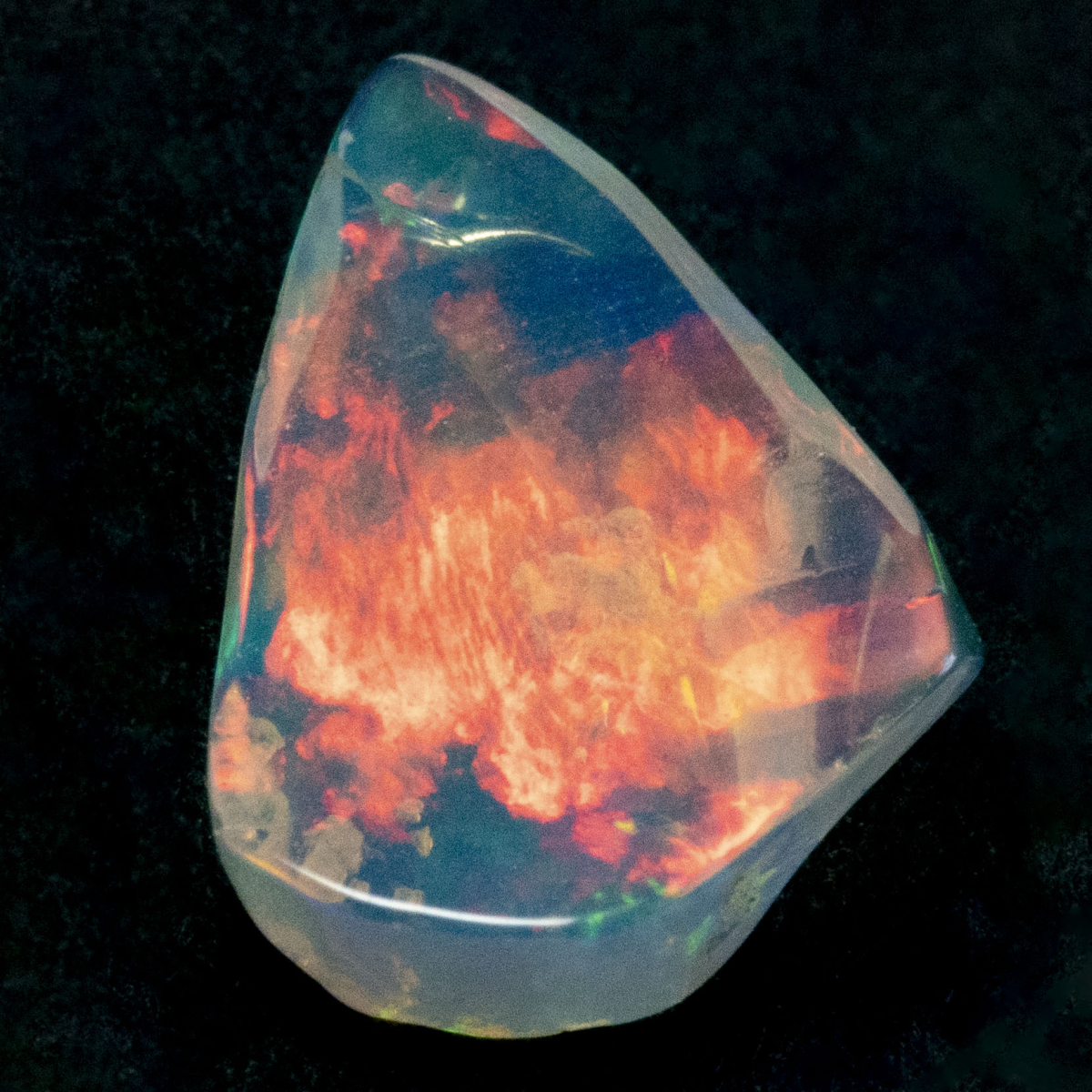 2 Welo Opal Scheiben mit 1.55 Ct, poliert - Opale