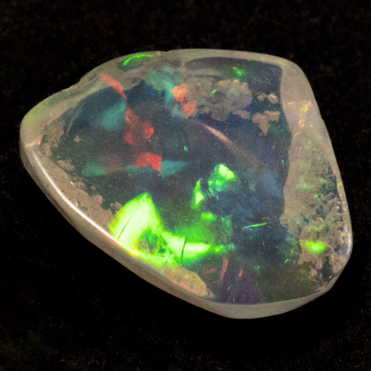 2 Welo Opal Scheiben mit 1.55 Ct, poliert - Opale