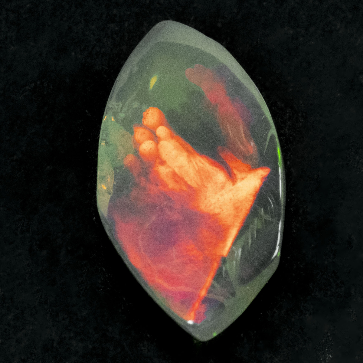2 Welo Opal Scheiben mit 1.55 Ct, poliert - Opale