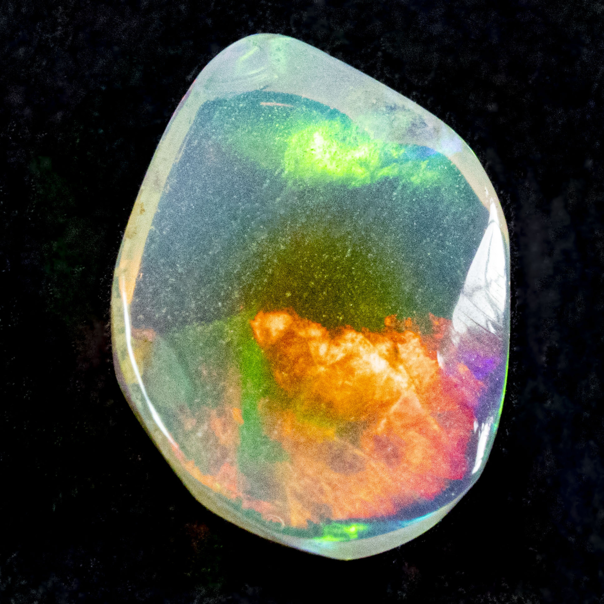 2 Welo Opal Scheiben mit 1.55 Ct, poliert - Opale