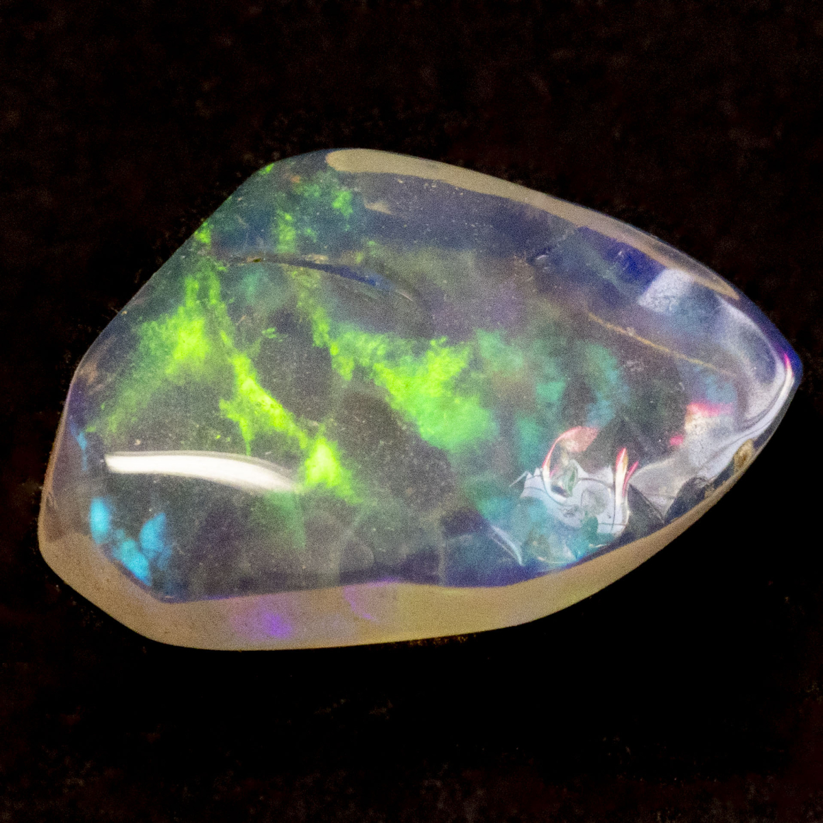 2 Welo Opal Scheiben mit 1.55 Ct, poliert - Opale