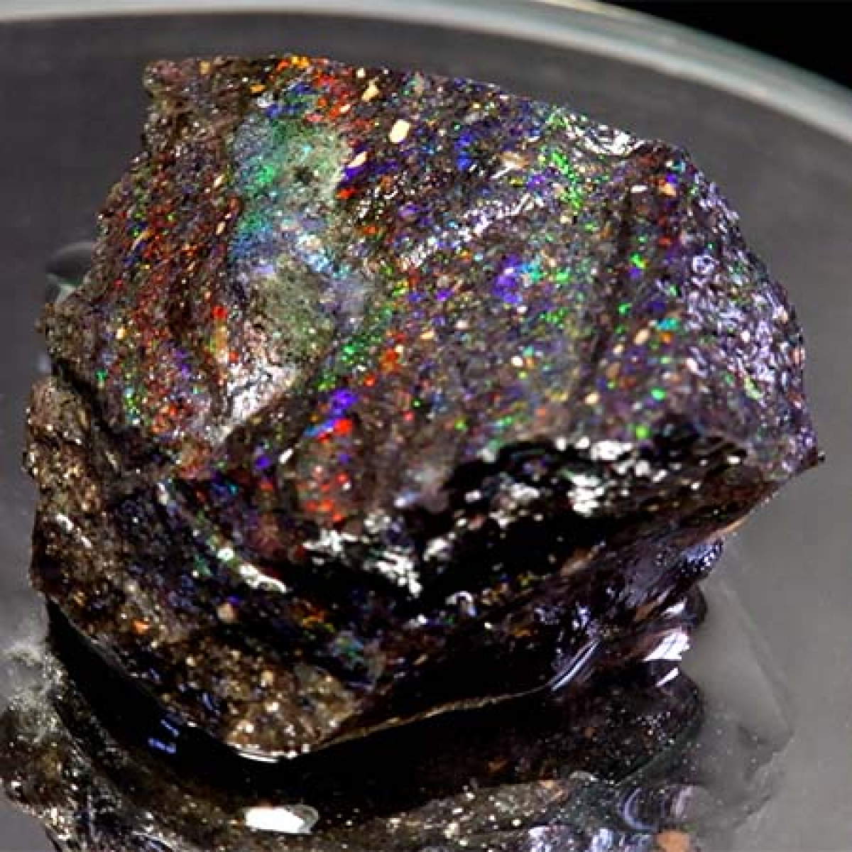 Honduras Opal mit 104.59 Ct