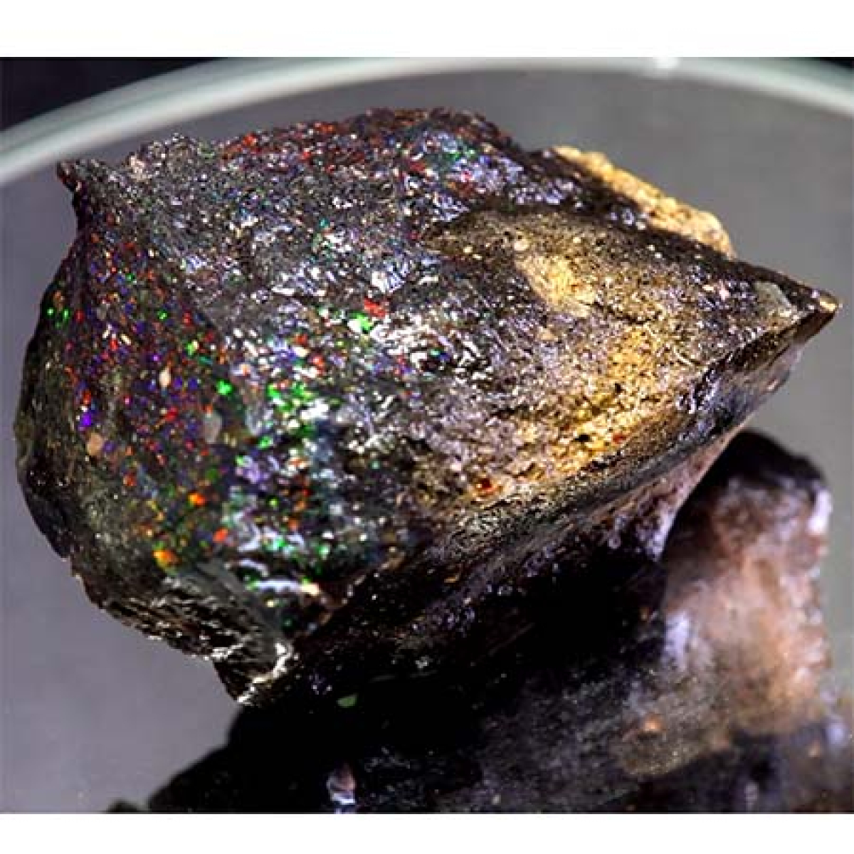 Honduras Opal mit 171.27 Ct