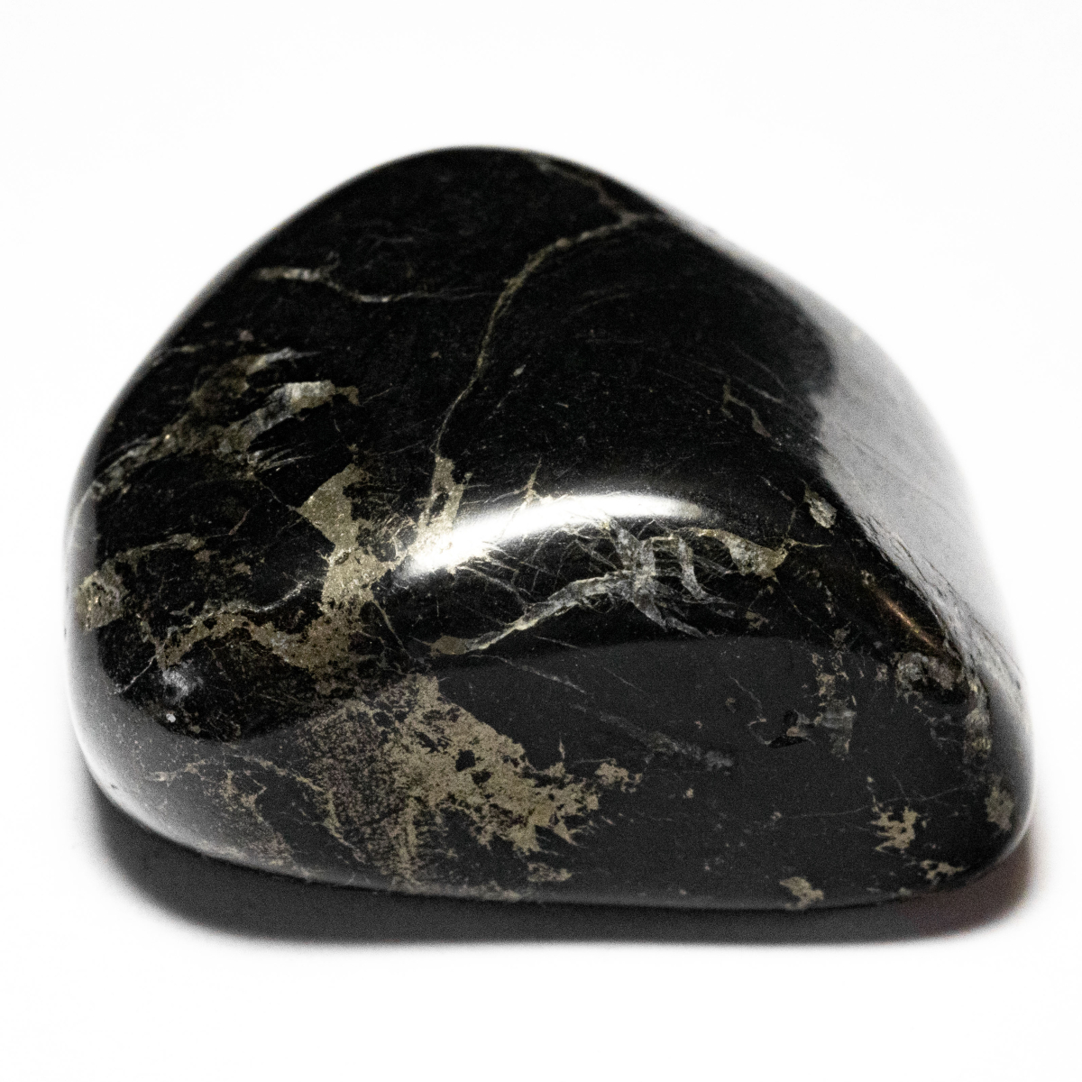Schiefer mit Pyrit 108.98 Ct