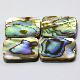 Abalone Dubletten 26.50 Ct, gebohrt