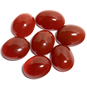 7 Karneole mit insgesamt 16.51 Ct
