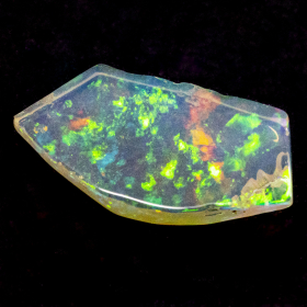 2 Welo Opal Scheiben mit 1.55 Ct, poliert - Opale
